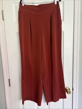 Express Women’s Wide Leg Women's Pants in Deep Rust